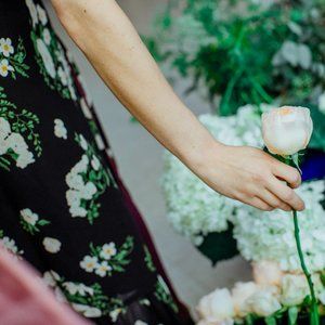 Meet your Posher, Brigitta